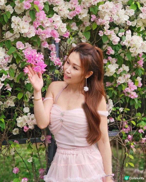 去深業上城有花展可以賞花打卡，可以購物，仲有好多美食🤩🤩 ！...