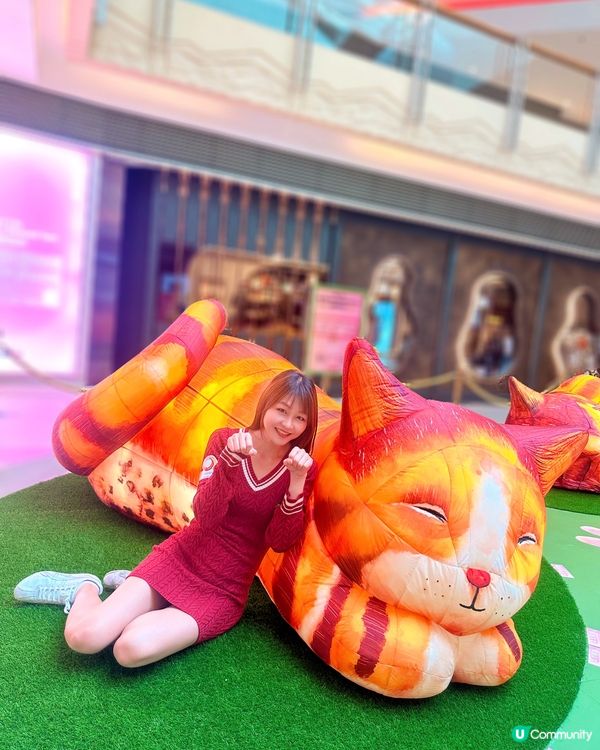 去西九文化區搵巨貓一家三口~