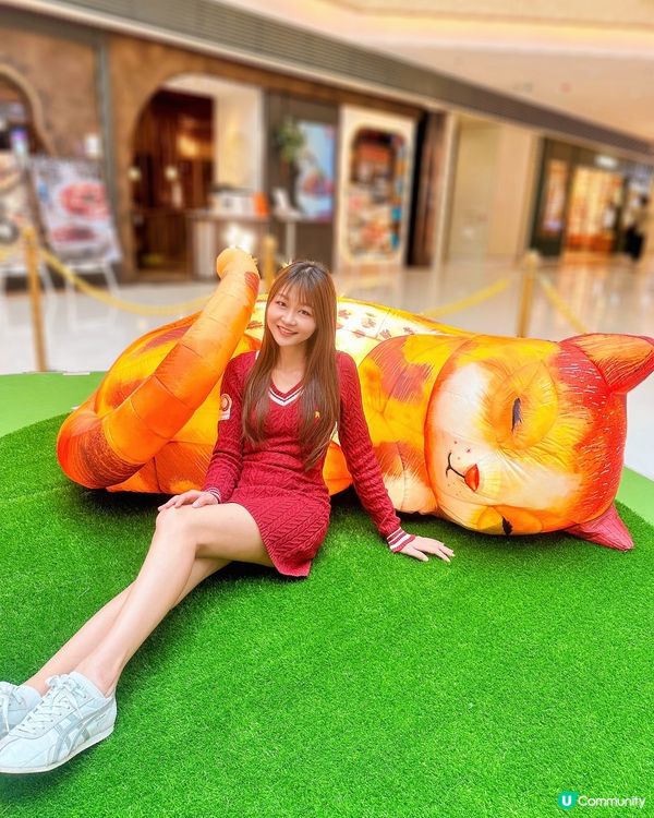 去西九文化區搵巨貓一家三口~