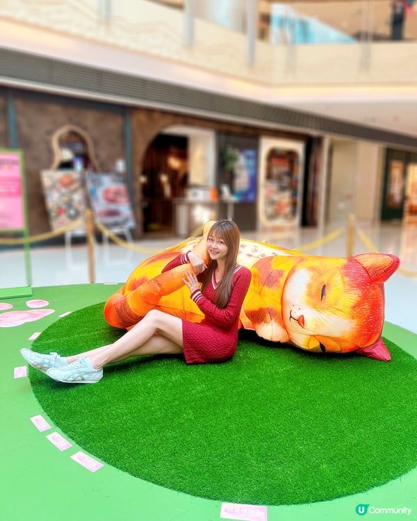 去西九文化區搵巨貓一家三口~