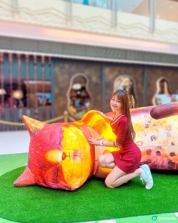 去西九文化區搵巨貓一家三口~