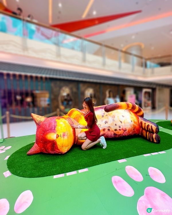 去西九文化區搵巨貓一家三口~