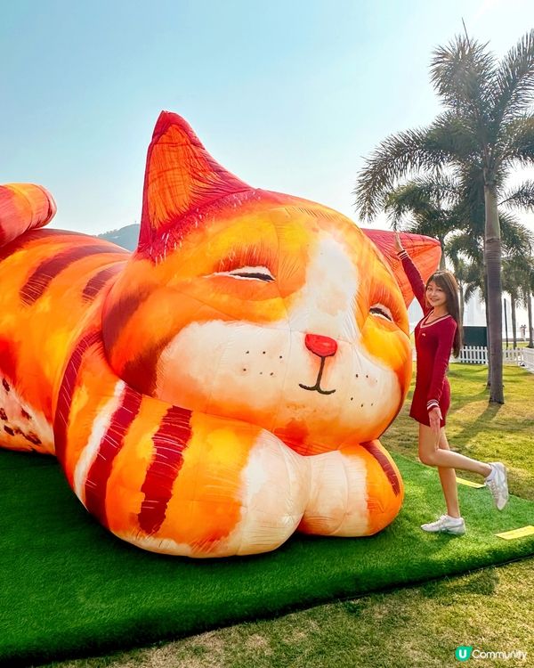 去西九文化區搵巨貓一家三口~