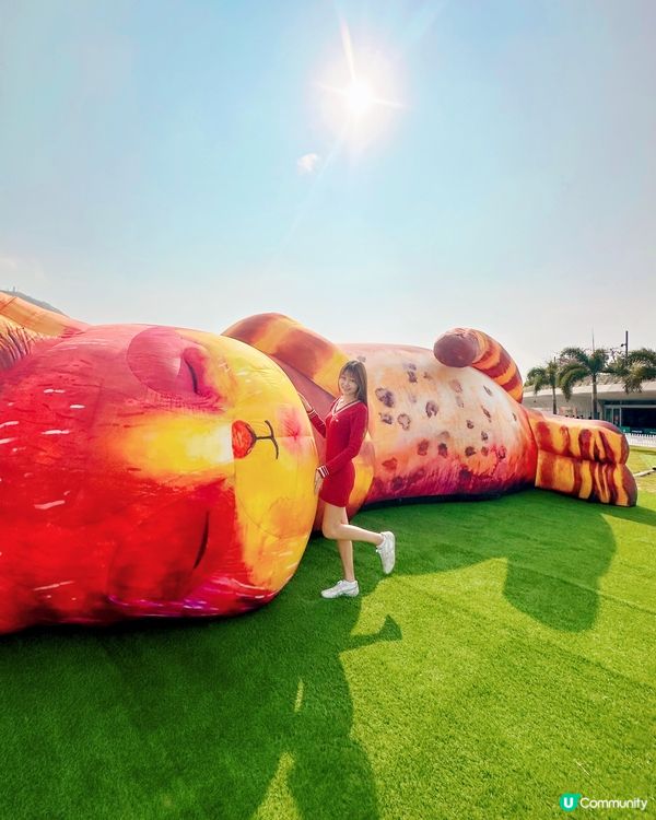 去西九文化區搵巨貓一家三口~