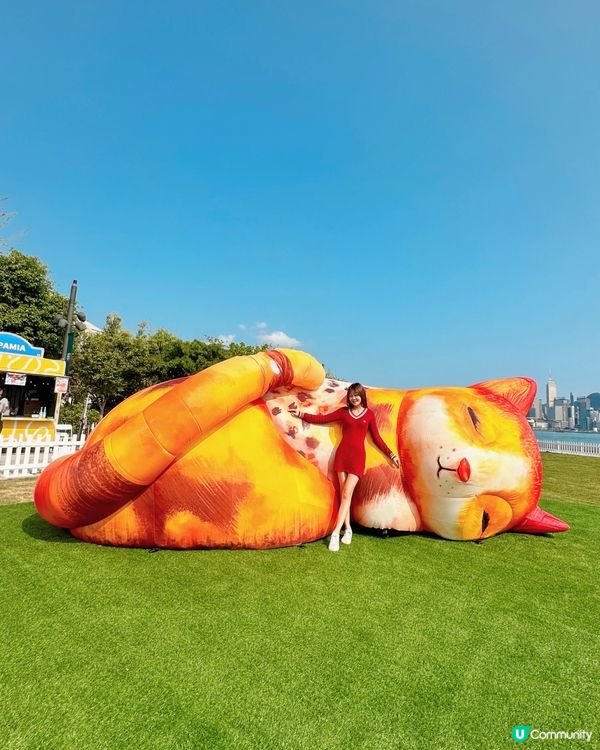 去西九文化區搵巨貓一家三口~