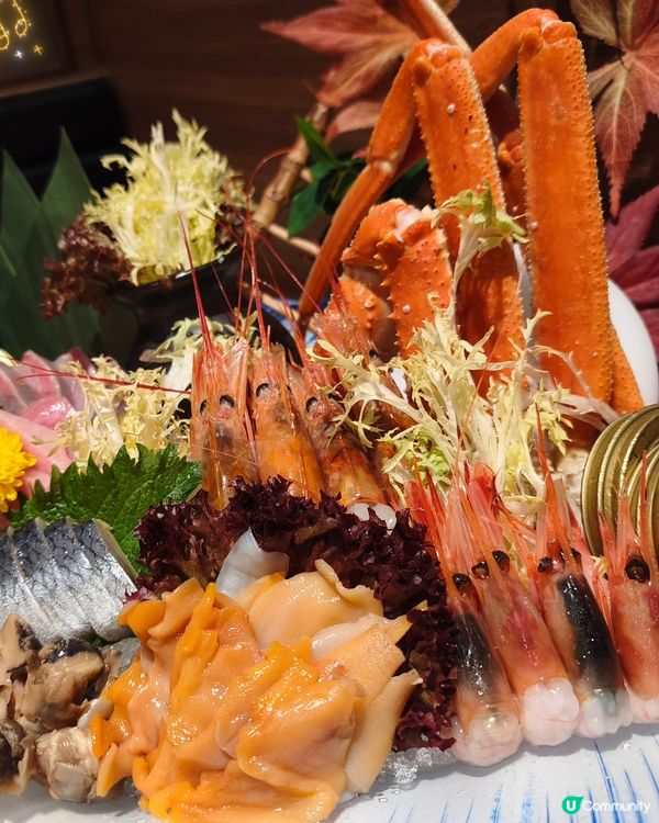 Foca - 尋鱘魚子🪸 - 御滿屋