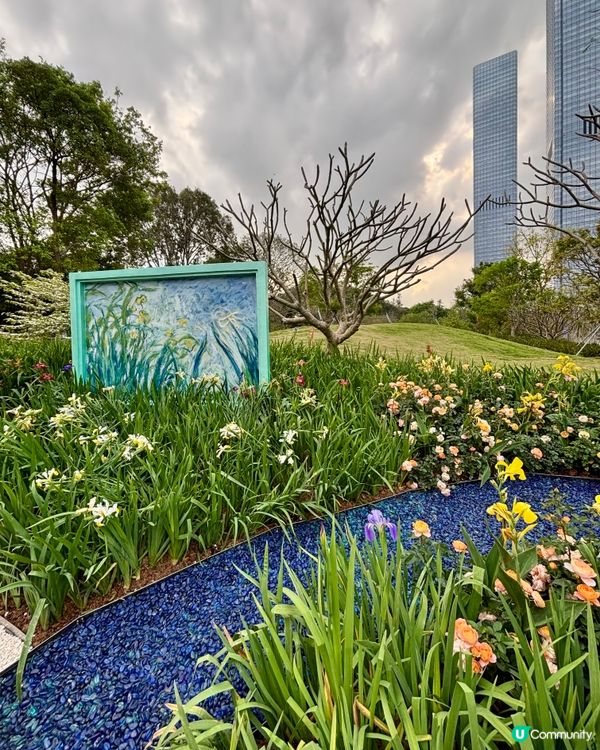 大灣區花展🌺 深圳打卡必去！