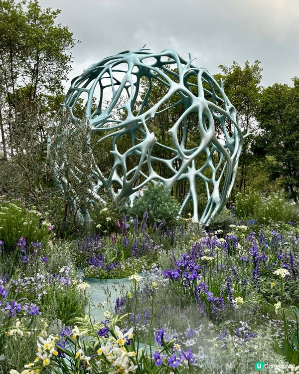 大灣區花展🌺 深圳打卡必去！