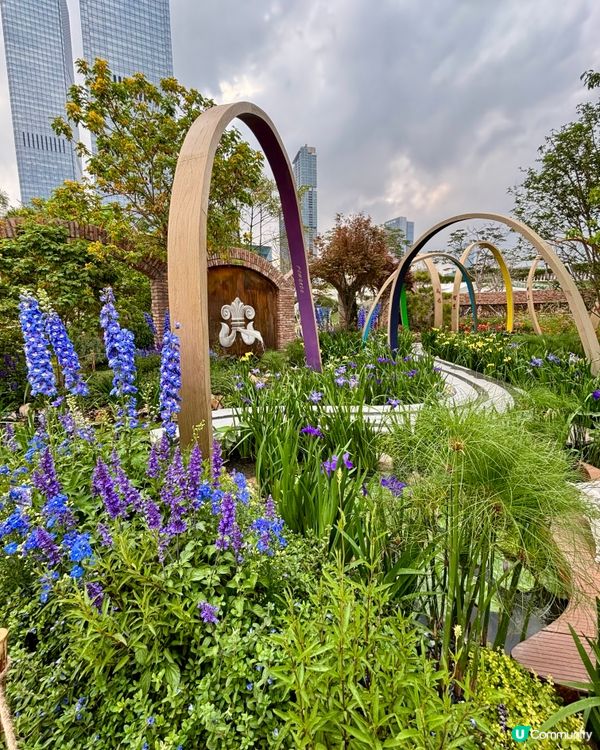 大灣區花展🌺 深圳打卡必去！