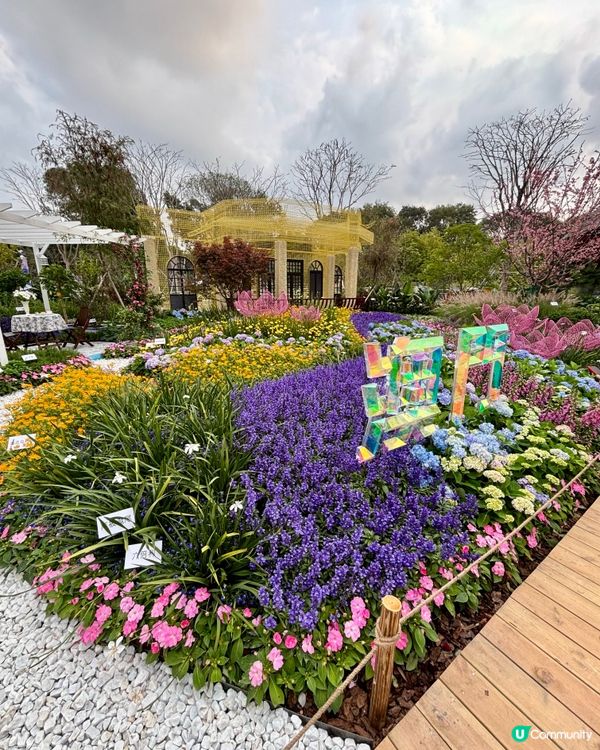 大灣區花展🌺 深圳打卡必去！