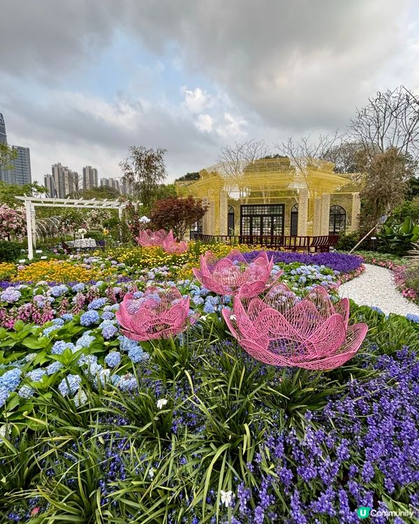 大灣區花展🌺 深圳打卡必去！
