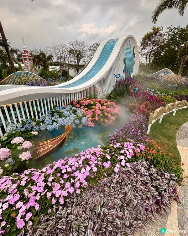 大灣區花展🌺 深圳打卡必去！