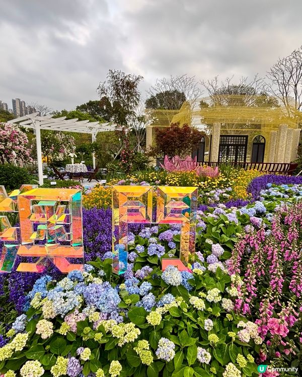 大灣區花展🌺 深圳打卡必去！