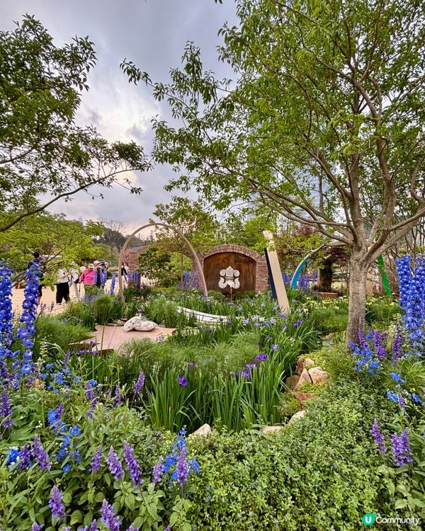 大灣區花展🌺 深圳打卡必去！