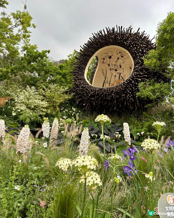大灣區花展🌺 深圳打卡必去！