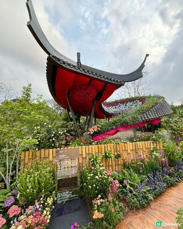 大灣區花展🌺 深圳打卡必去！