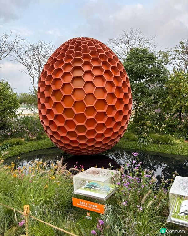 大灣區花展🌺 深圳打卡必去！