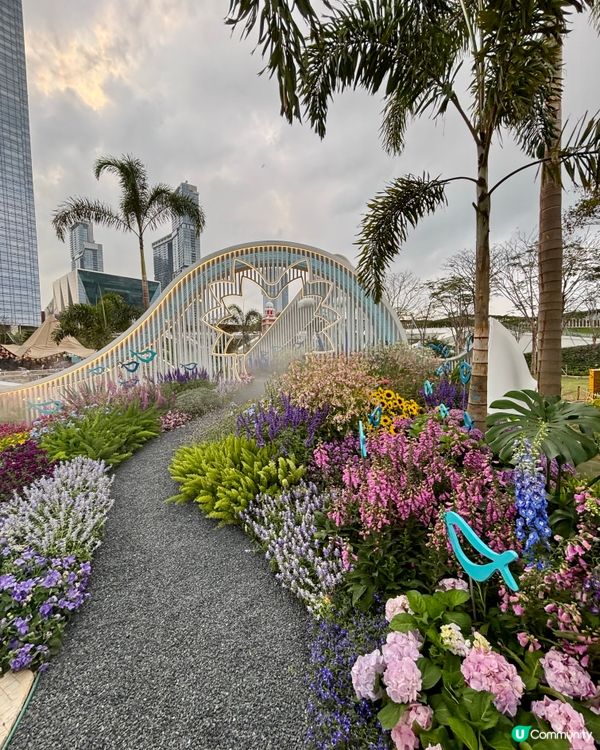 大灣區花展🌺 深圳打卡必去！