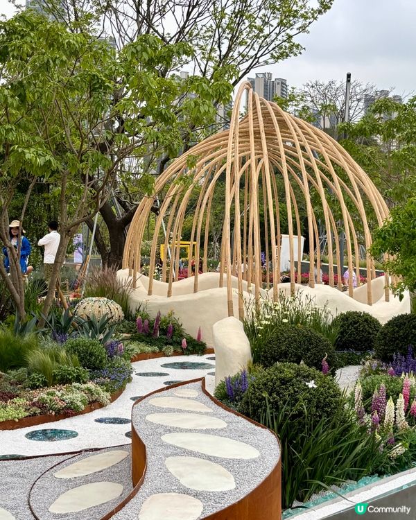 大灣區花展🌺 深圳打卡必去！