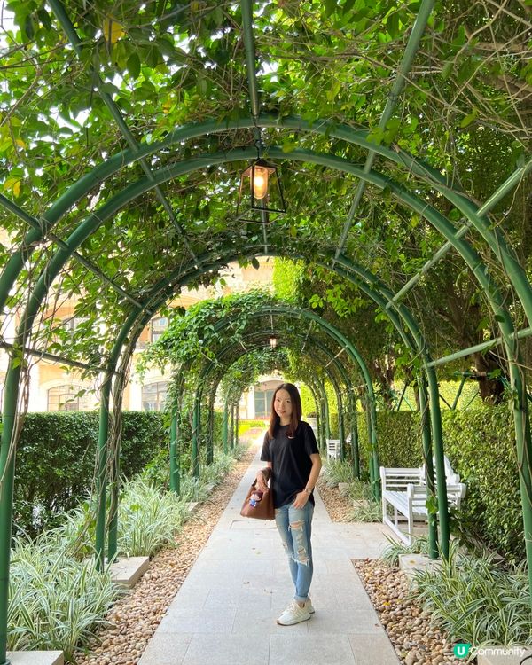 📸澳門打卡首選 上葡京綠茵勝境花園🏛️🌼🌿