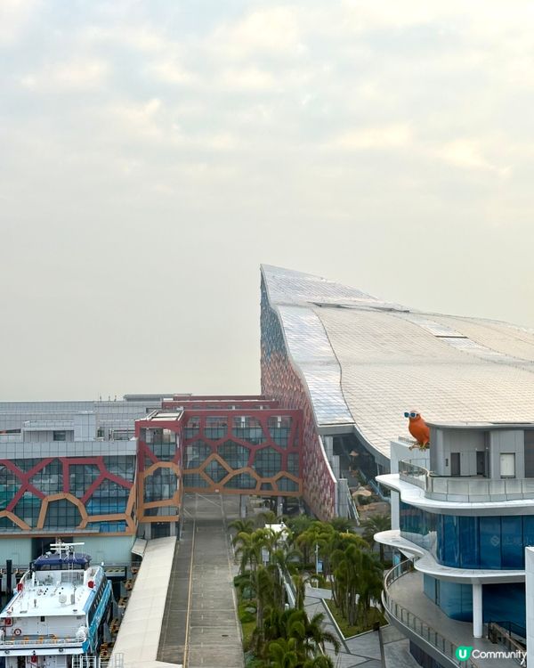 深圳太子灣花園城-海濱文藝新地標，打咭5米高金絲雀