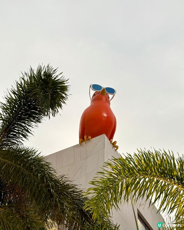深圳太子灣花園城-海濱文藝新地標，打咭5米高金絲雀