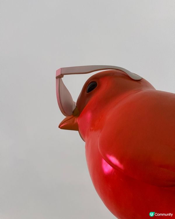 深圳太子灣花園城-海濱文藝新地標，打咭5米高金絲雀