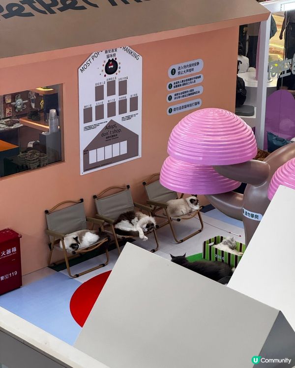 情侶深圳一日甜蜜遊🥰