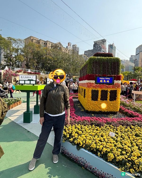 2026年維園花展·紫羅蘭🌸打卡必影位！