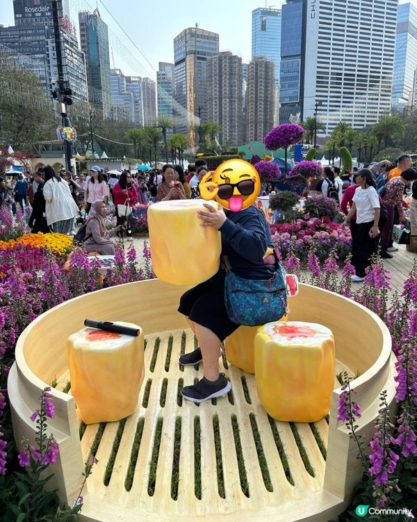 2026年維園花展·紫羅蘭🌸打卡必影位！