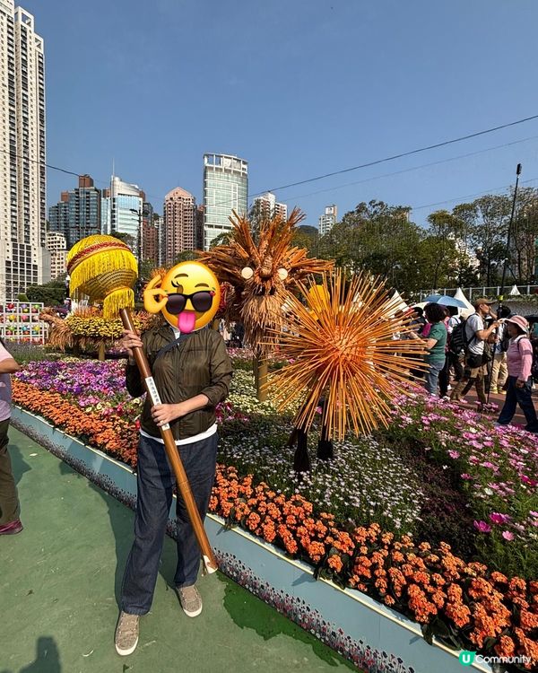 2026年維園花展·紫羅蘭🌸打卡必影位！