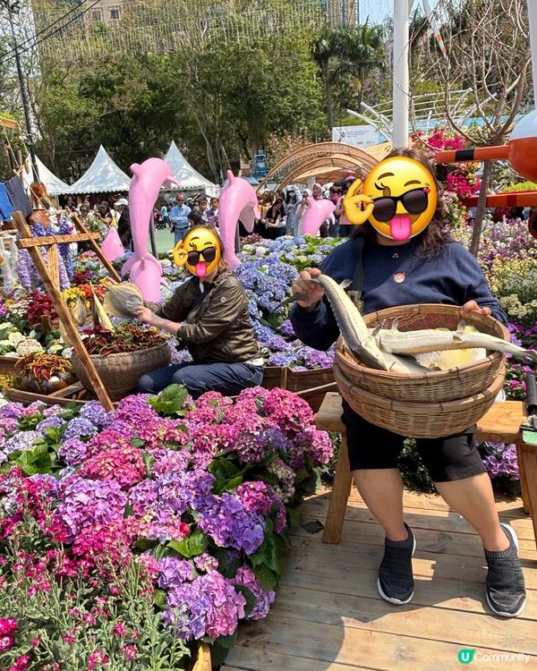 2026年維園花展·紫羅蘭🌸打卡必影位！