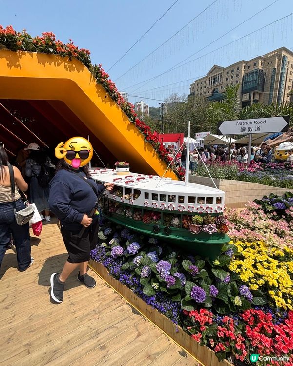 2026年維園花展·紫羅蘭🌸打卡必影位！