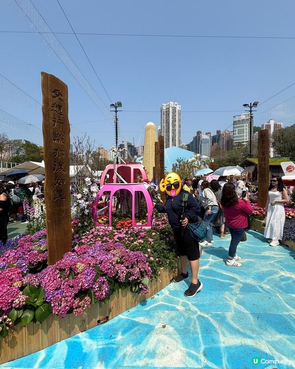 2026年維園花展·紫羅蘭🌸打卡必影位！