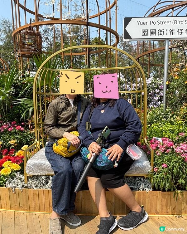 2026年維園花展·紫羅蘭🌸打卡必影位！