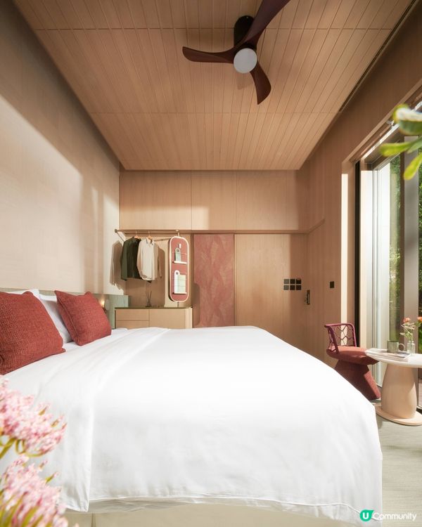 【寵主召集🐾】請您同主子免費去Staycation！