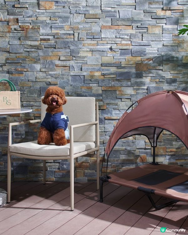 【寵主召集🐾】請您同主子免費去Staycation！