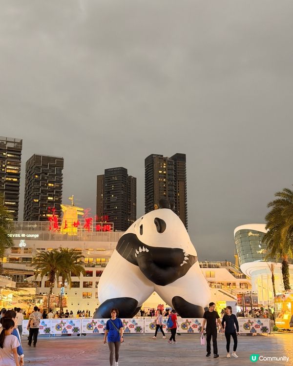 深圳海上世界快閃！🤩日夜都精彩！👍