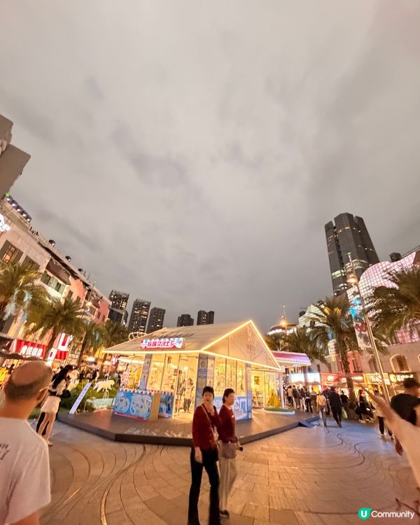 深圳海上世界快閃！🤩日夜都精彩！👍