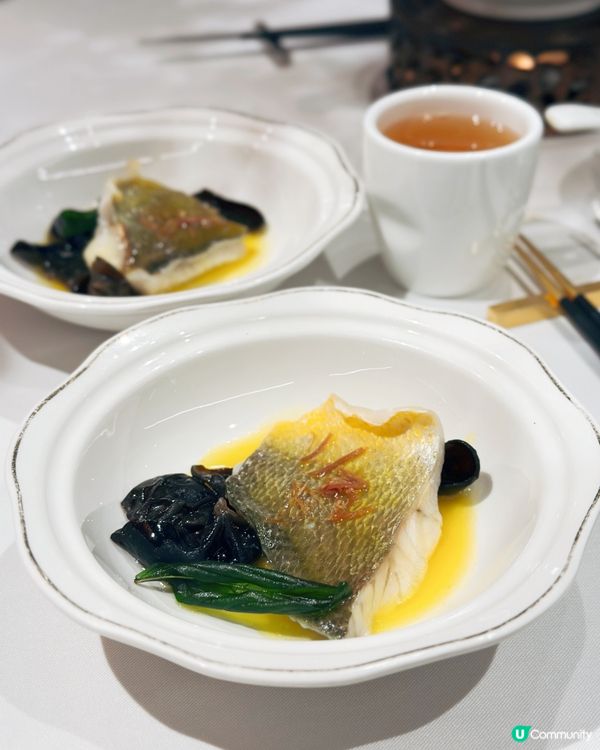 $699食8道菜🤯性價比爆燈！🥢