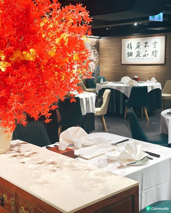 $699食8道菜🤯性價比爆燈！🥢