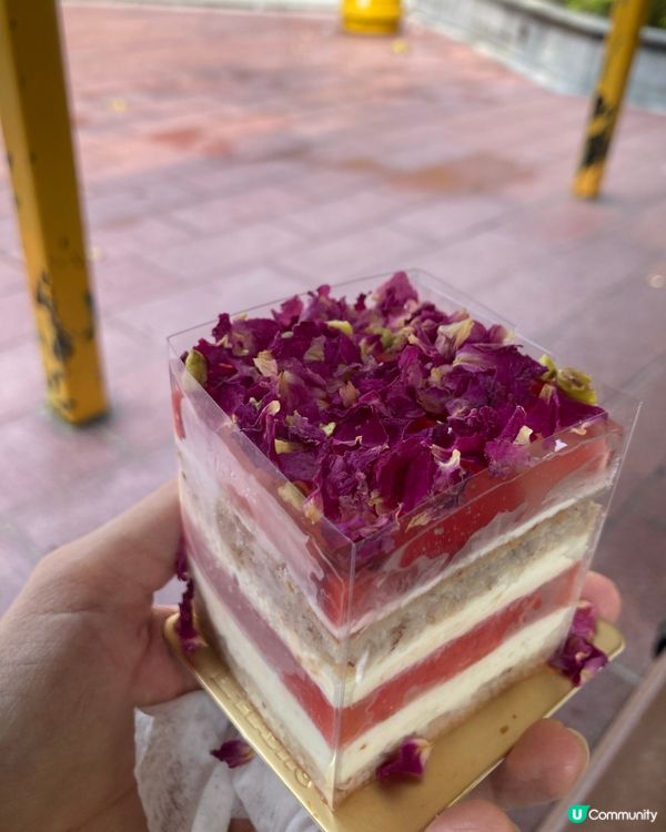 $10有草莓西瓜玫瑰蛋糕！🍓🍉🏃‍♀️
