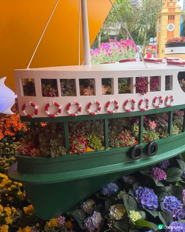 2026 Edward第2次黎花展啦~