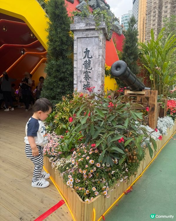 2026 Edward第2次黎花展啦~