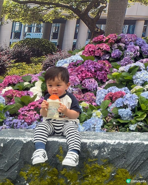 2026 Edward第2次黎花展啦~