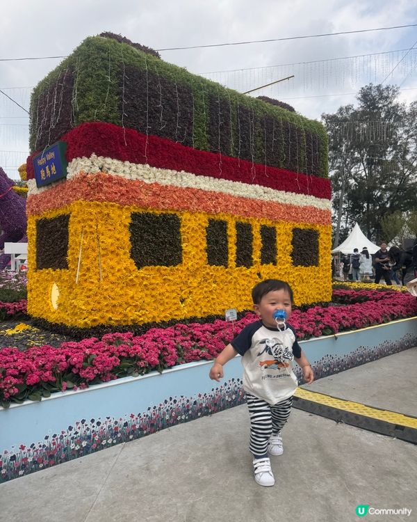 2026 Edward第2次黎花展啦~