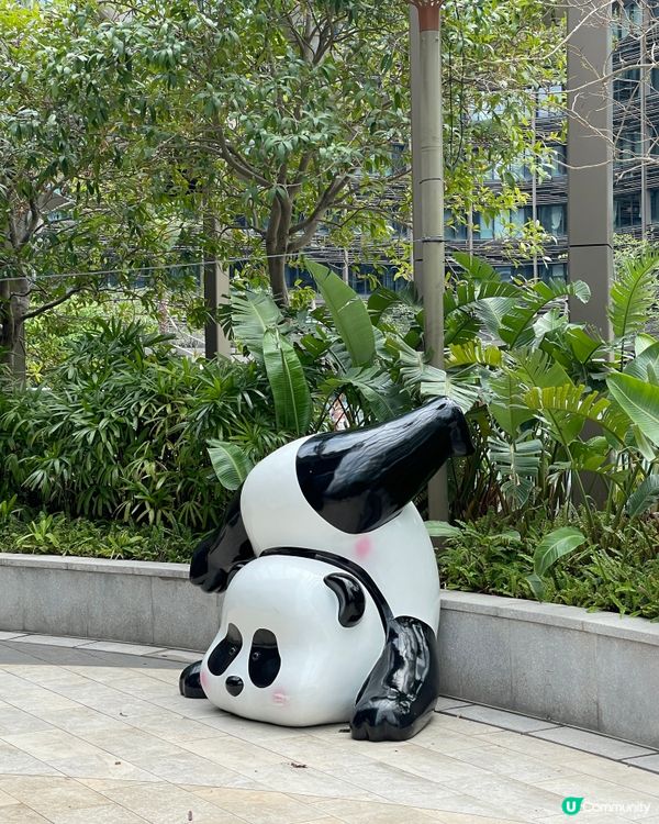 甜品天堂+熊貓海洋🐱🐼 🍜🎉