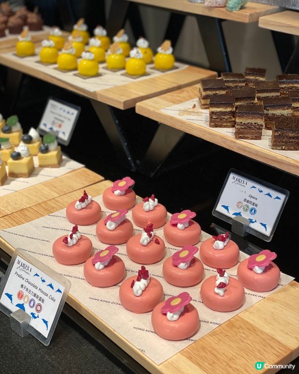 甜品天堂+熊貓海洋🐱🐼 🍜🎉