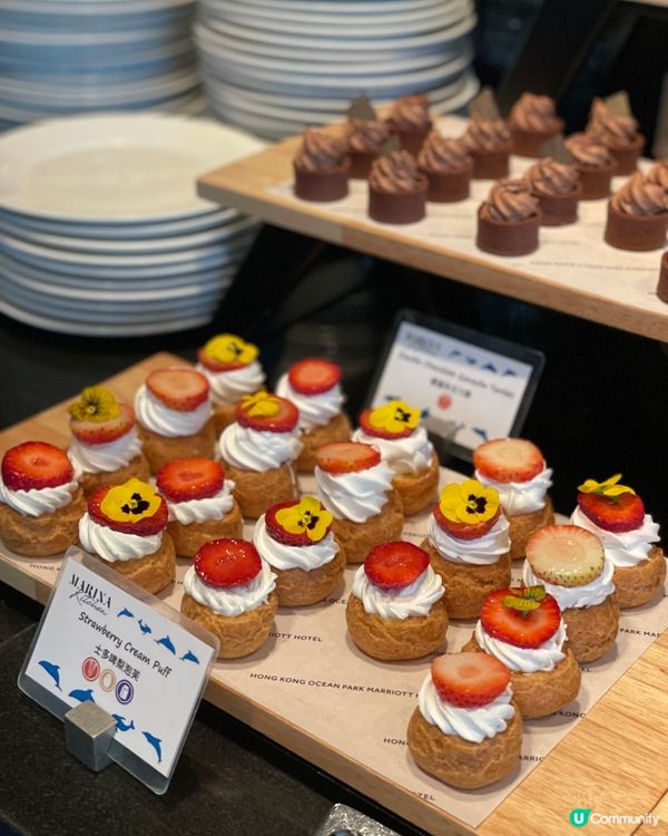 甜品天堂+熊貓海洋🐱🐼 🍜🎉