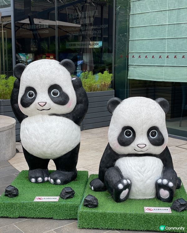 甜品天堂+熊貓海洋🐱🐼 🍜🎉